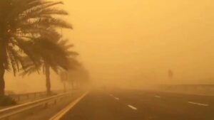 "انخفاض نسبة العواصف الرملية في السعودية بفضل المحميات الطبيعية"