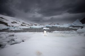 العلماء الأتراك يصبحون حراس الطبيعة في القارة القطبية الجنوبية