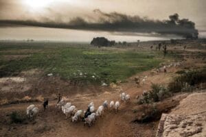 كيف تؤثر أزمة المناخ على إمدادات الغذاء والمزارعين؟