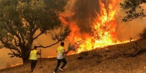 حماة الغابات: الجزائر تواجه تحديًا في الحفاظ على غاباتها