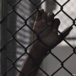 توقيف أسرة تحرير “متصدقش” المصرية.. ماذا نعرف عن هذه المنصة؟